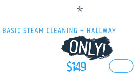 3 rooms - Basic steam cleaning + Hallway, Only $129